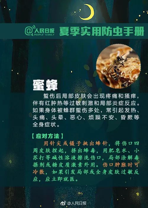 最新“蚊子地图”发布，涉及广州22个镇街 最新“蚊子地图”发布，涉及广州22个镇街「广州蚊子基地在哪里」 生活资讯