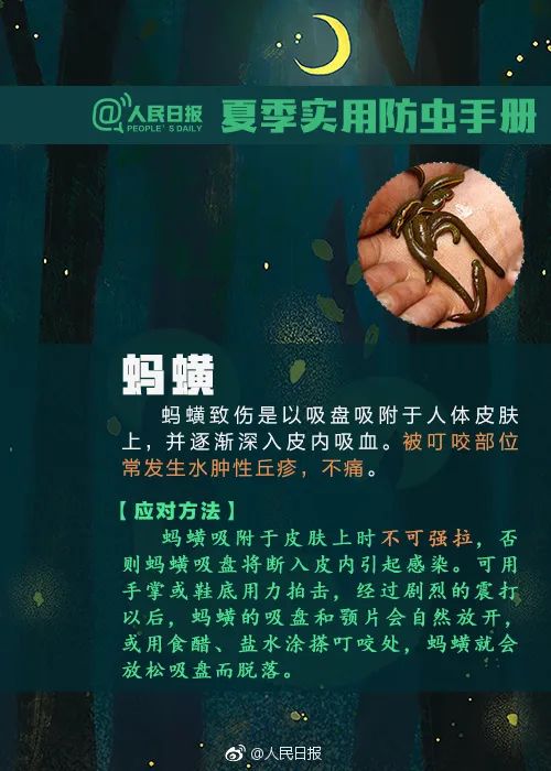 最新“蚊子地图”发布，涉及广州22个镇街 最新“蚊子地图”发布，涉及广州22个镇街「广州蚊子基地在哪里」 生活资讯
