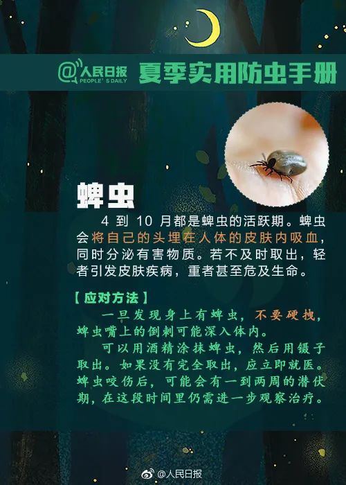 最新“蚊子地图”发布，涉及广州22个镇街 最新“蚊子地图”发布，涉及广州22个镇街「广州蚊子基地在哪里」 生活资讯