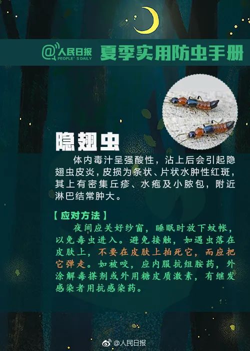 最新“蚊子地图”发布，涉及广州22个镇街 最新“蚊子地图”发布，涉及广州22个镇街「广州蚊子基地在哪里」 生活资讯