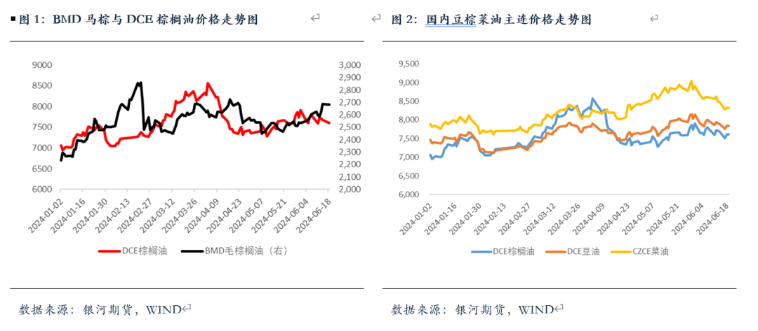 【油脂半年报】矛盾暂无的油脂，未来何去何从？ 【油脂半年报】矛盾暂无的油脂，未来何去何从？「油脂近况」 维修服务
