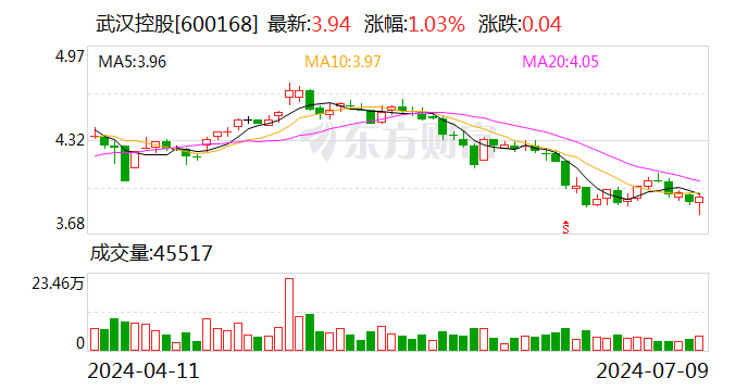 武汉控股：2024年上半年净利同比预降74.48%-82.89% 武汉控股：2024年上半年净利同比预降74.48%-82.89%「武汉控股业绩预告」 维修服务