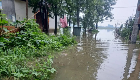 南阳暴雨以致当地猪场受灾！牧原回应：公司经营未受影响！官方发布汛期猪场应急管理七条措施 南阳暴雨以致当地猪场受灾！牧原回应：公司经营未受影响！官方发布汛期猪场应急管理七条措施 生活资讯