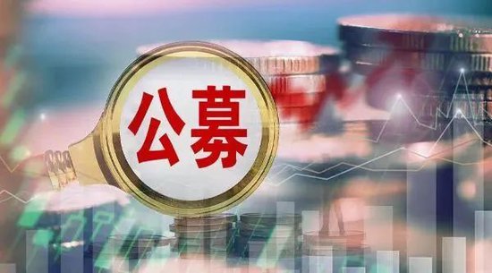 尴尬！公募股权再遭流拍，数千人围观为何无人出价？「公募股权是什么意思」 家电资讯